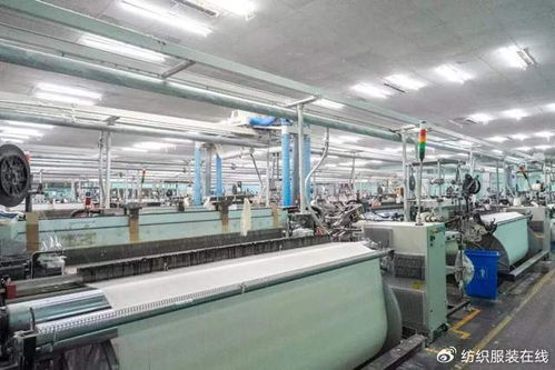 创新领航，绿色筑基 豪欣纺织以环境科技开辟差异化发展新路