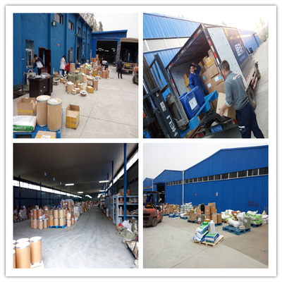 非那雄胺原料药处理服务的重要性与实践